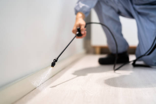 Licensed Rodent Control service in Gilbert, MN - Nex Pest Control