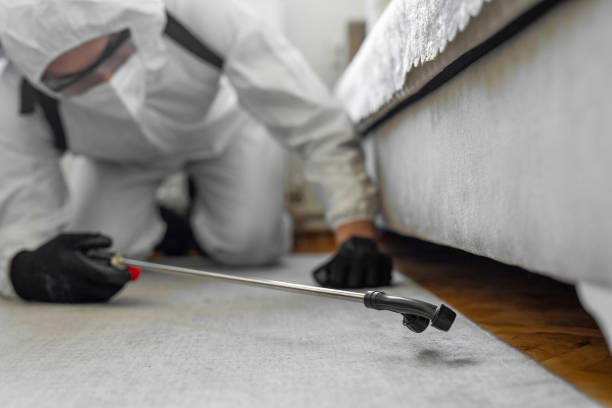 Professional Rodent Control technician working in Gilbert, MN