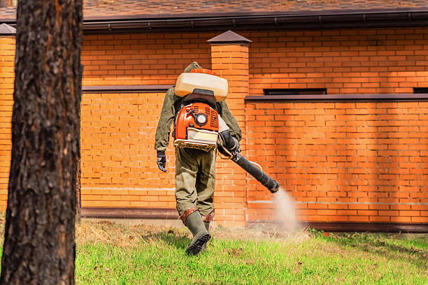 Trusted Cockroach Control service in Gilbert, MN - Nex Pest Control